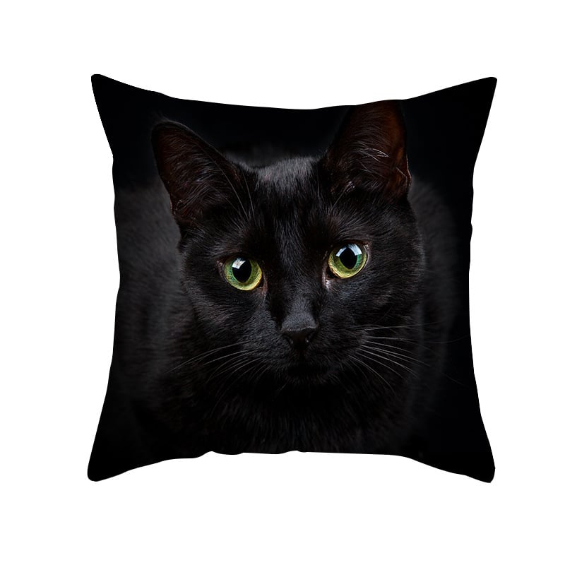 Household Animal Pillows And Pillow Cases