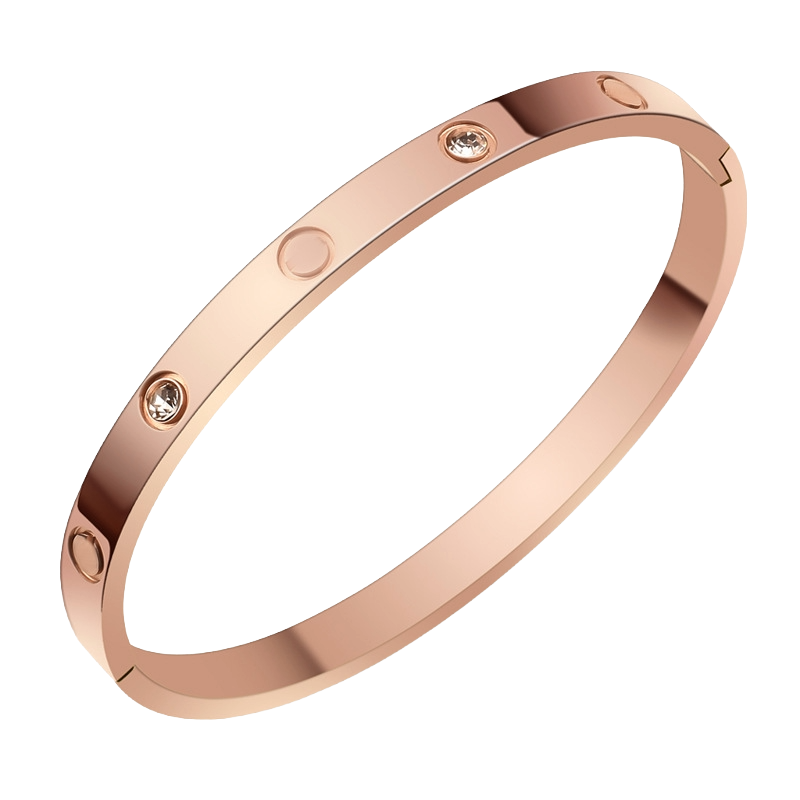 Rose gold titanium steel bracelet modern minimalist style