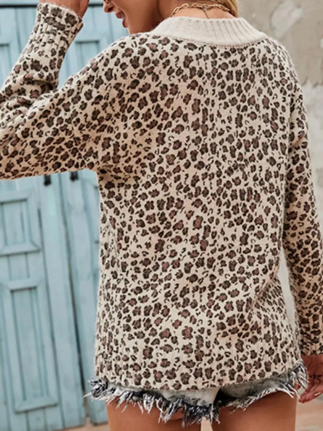 Leopard V-Neck Long Sleeve Sweater Trendsi